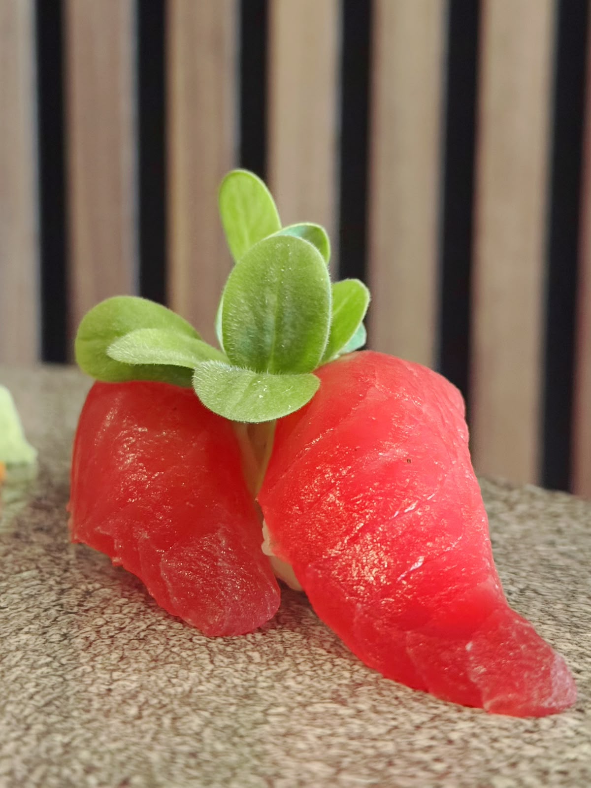 MAGURO - Thunfisch